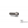 CNC Racing Universal Titanium Screw M5L16 (M5x16)